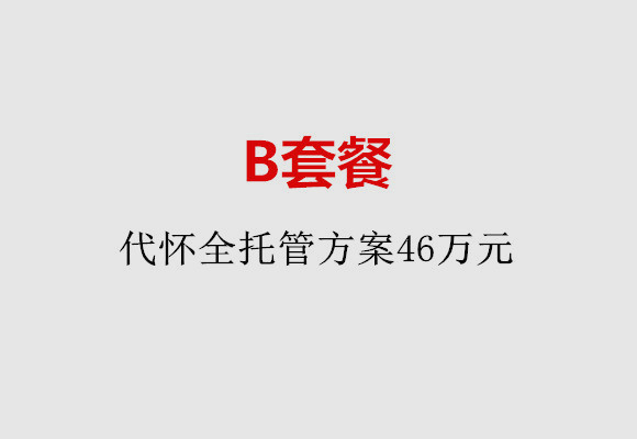 沈阳B套餐：代怀全托管方案46万元